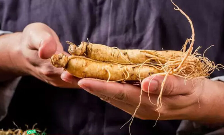 خواص جینسینگ برای مردان