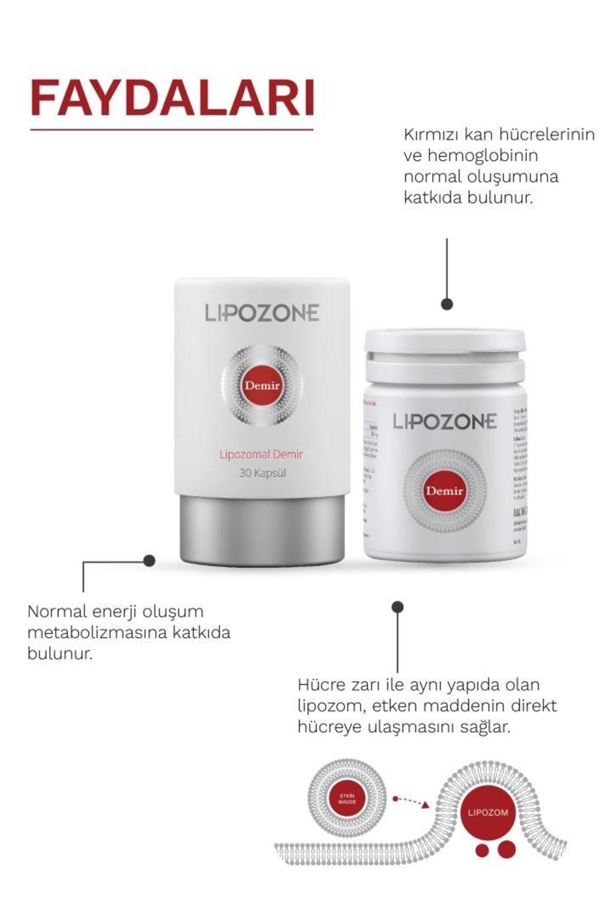 کپسول آهن لیپوزومال ۱۷ میلی گرم Lipozone - بسته ۳۰ عددی - Image 4