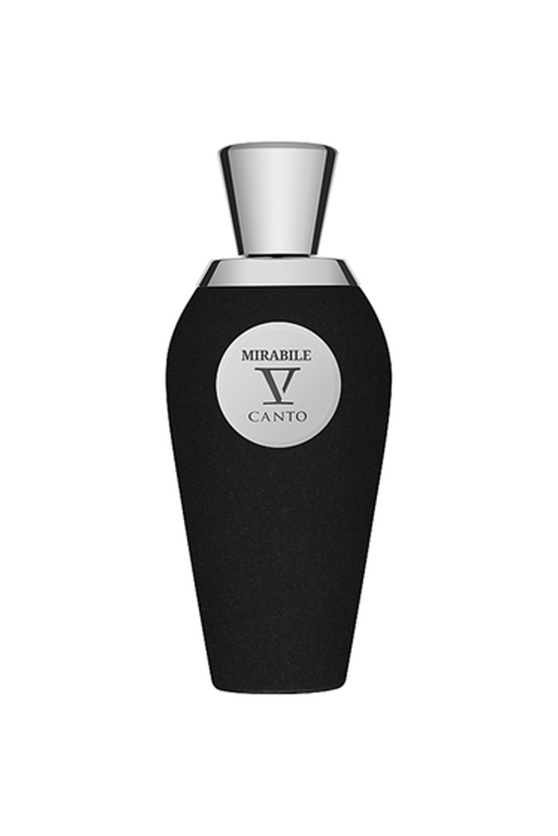 عطر ادکلن وی کانتو ایرایی | V Canto Irae