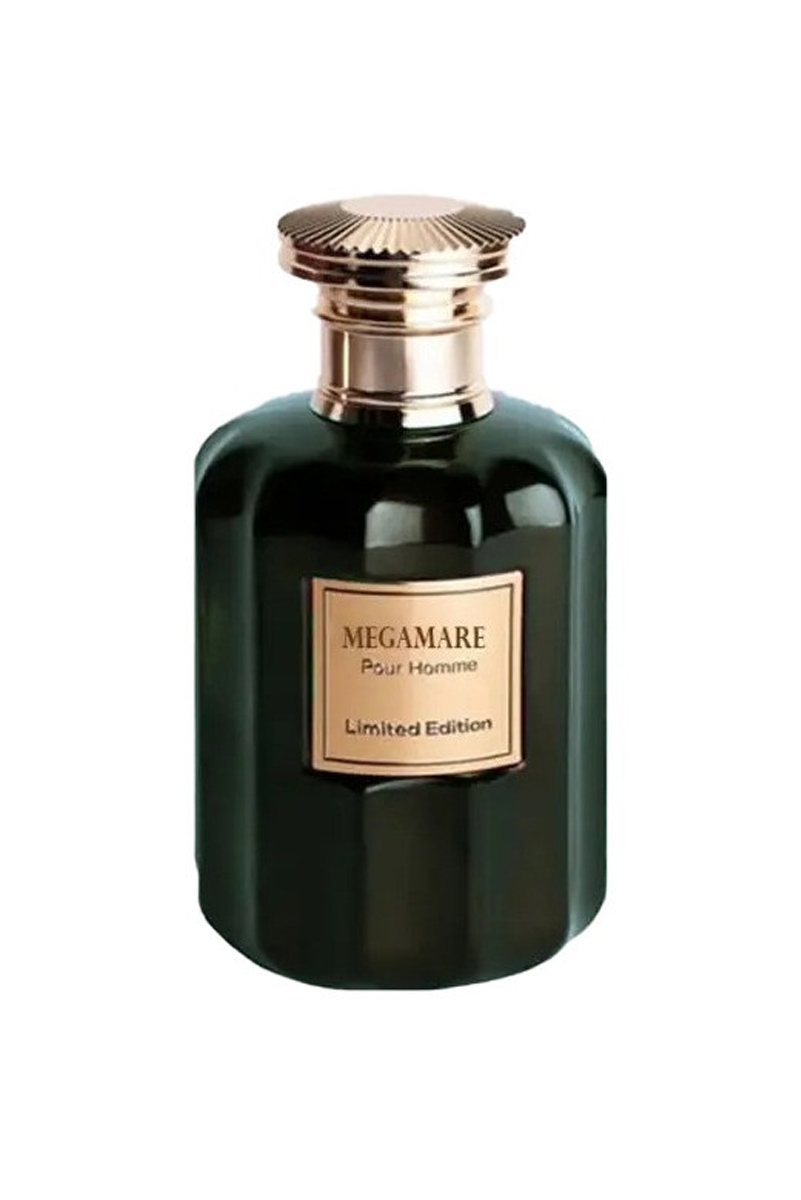 عطر ادکلن روبرتو ویزاری مگاماره | ROBERTO VIZZARI Megamare