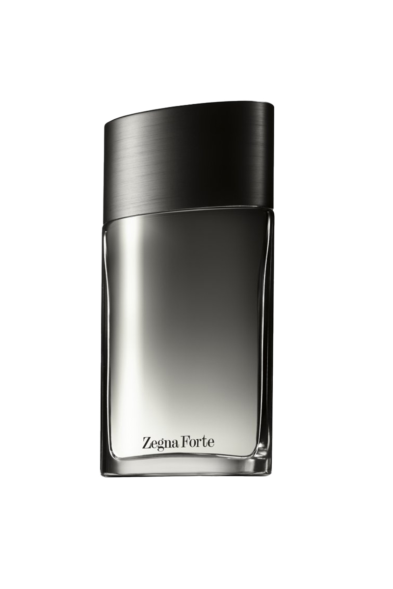 عطر ادکلن ارمنگیلدو زگنا زگنا فورت | Ermenegildo Zegna Zegna Forte