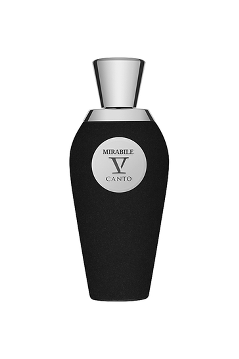 عطر ادکلن وی کانتو ماستین | V Canto Mastin