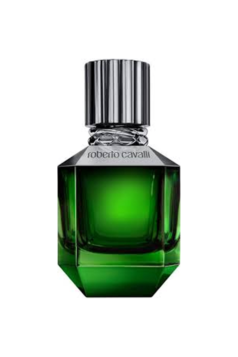 عطر ادکلن روبرتو کاوالی پاردایس فاوند (فوند) مردانه | Roberto Cavalli Paradise Found For men