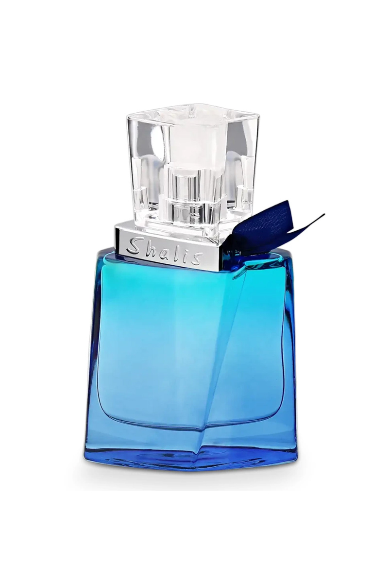 عطر ادکلن رمی مارکویس شالیز مردانه | Remy Marquis Shalis for men