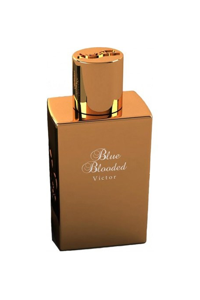 تستر اورجینال ادکلن امرداد بلو بلودد ویکتور مردانه | Amordad Blue Blooded Victor