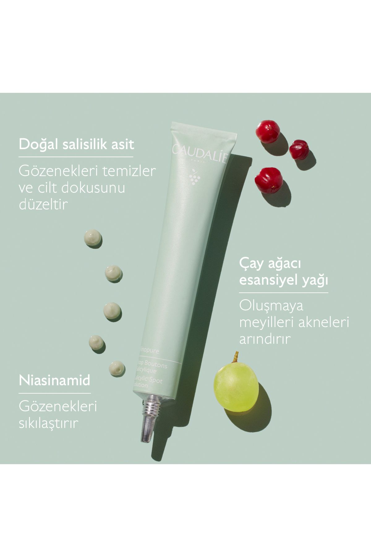 کرم سالیسیلیک لک و ضد آکنه Caudalie - حجم 15 ml