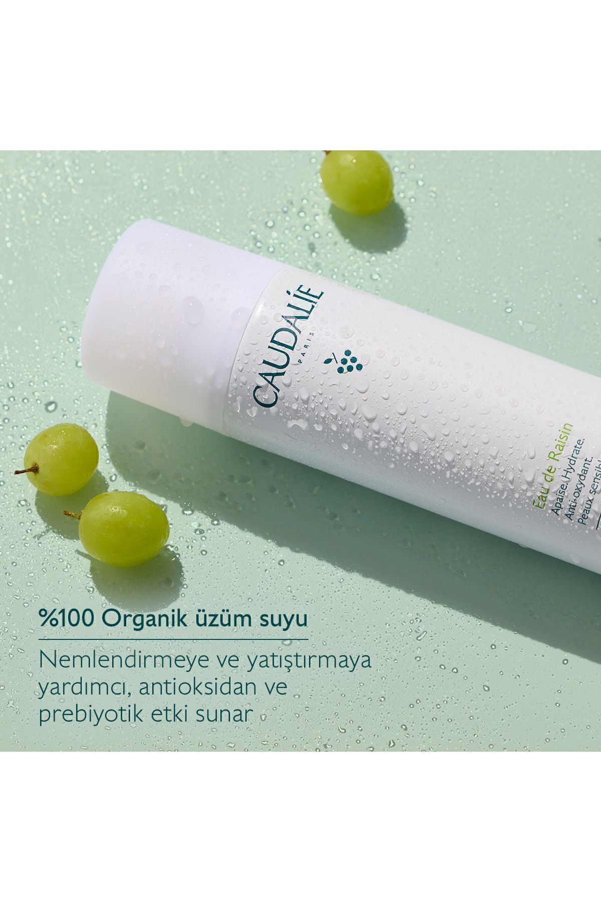 اسپری صورت آب انگور Caudalie حجم 200 ml